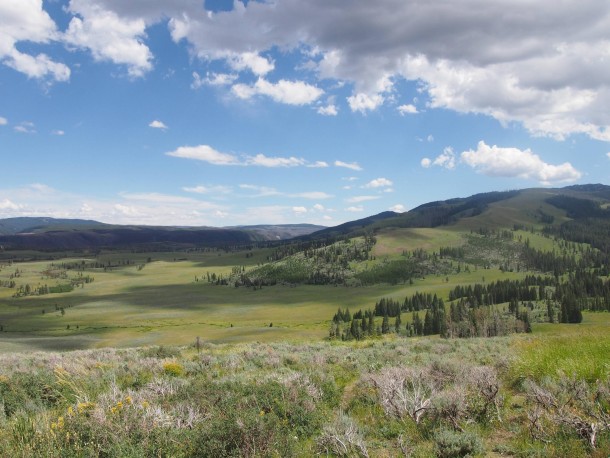 Wide Open Spaces in Yellowstone National Park 
