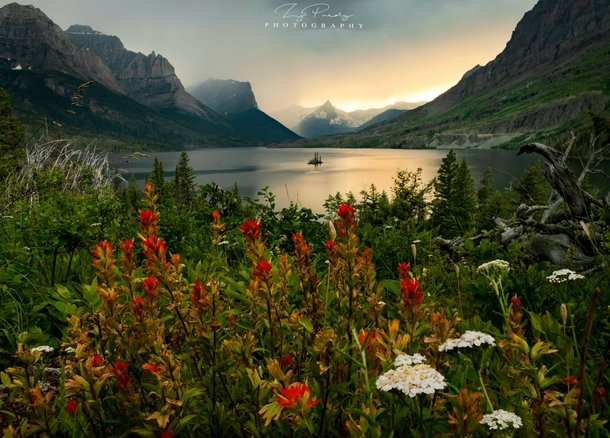 Wild goose island in all of its wildflower glory Glacier National Park 