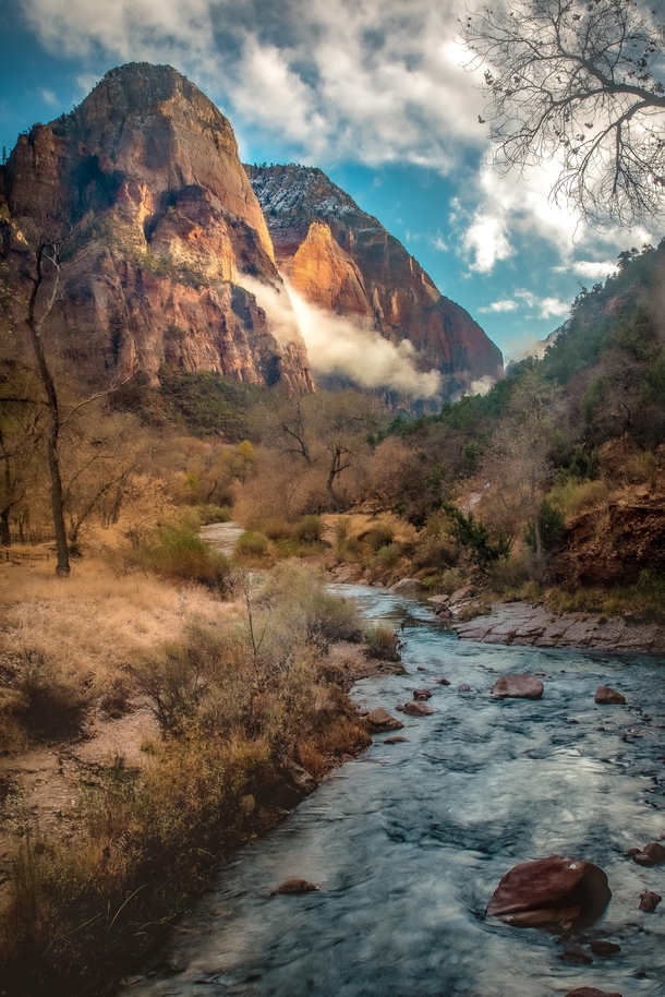 Wilderness Beauty from Zion National Park Utah 