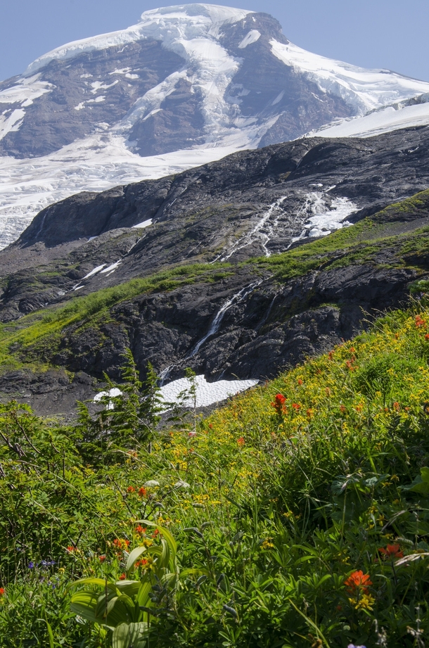 Wildflowers and Waterfalls on Mt Baker 