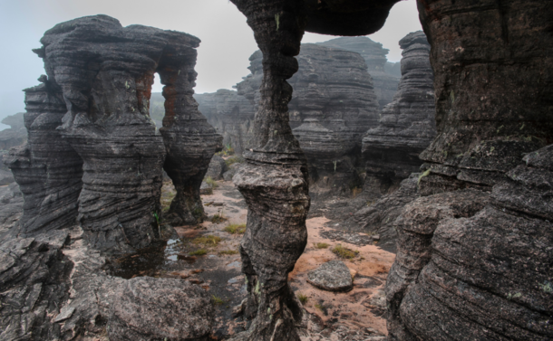 Wind-carved rock formations covers the tabletop plateau of Mount Roraima x 