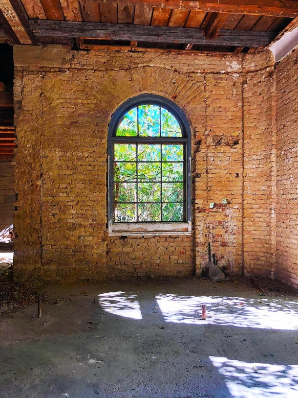 Window in an abandoned castle