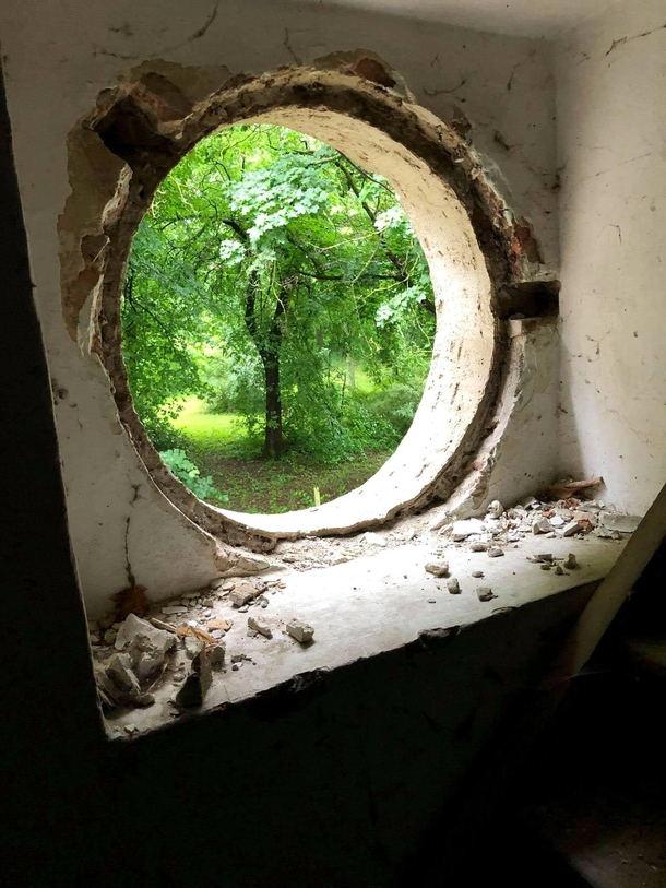 Window of an abandoned mansion