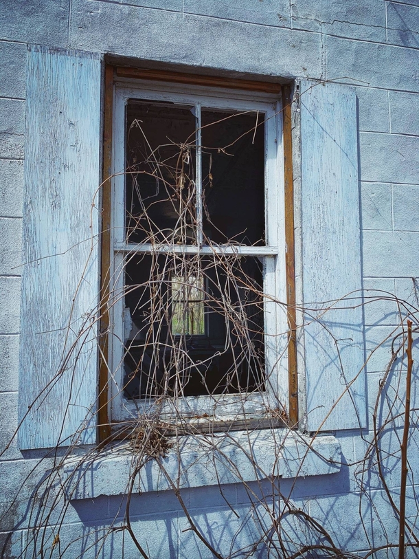 Windows on an old farmhouse Ontario Canada