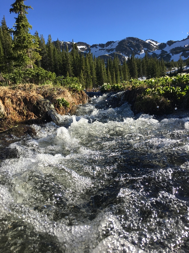 Windsor Lake Trail near Leadville Colorado Outflow stream from a pond