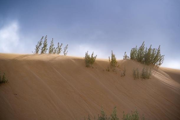 Windy dunes in Lancelin WA 