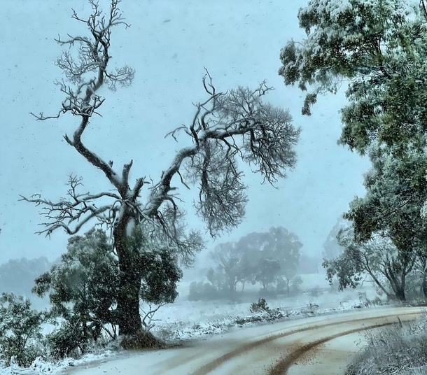 Winter cold snap Yetholme New South Wales Photo credit to Karen Roberts