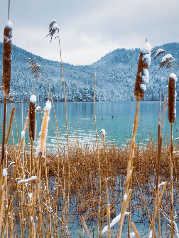Winter Idyll Weiensee southern Germany 
