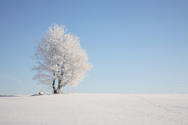 Winter in Bavaria 