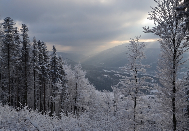 Winter in Beskydy Czech Republic 