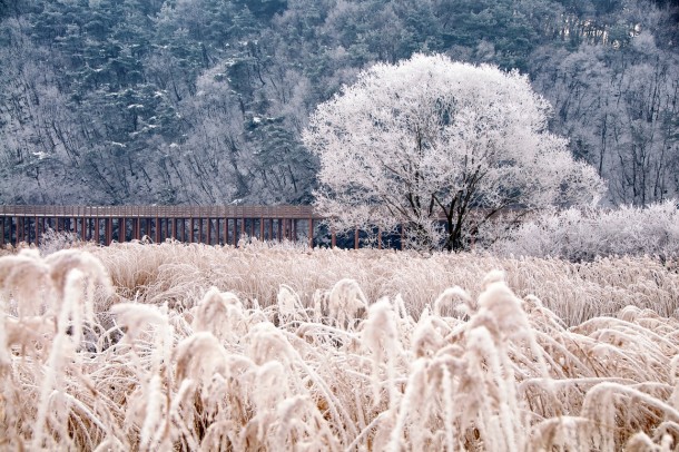 Winter in Chuncheon South Korea 