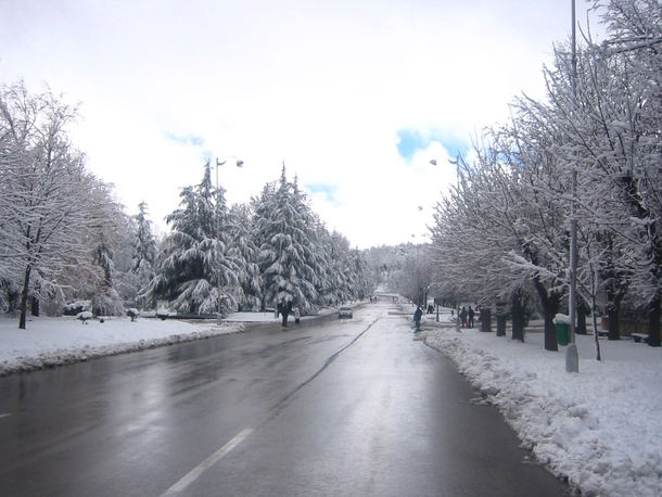 Winter in Ifrane Morocco 