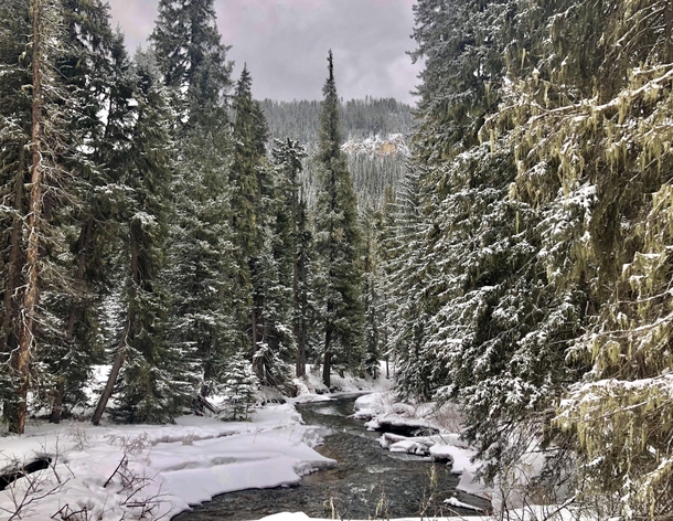 Winter in Spearfish Canyon SD