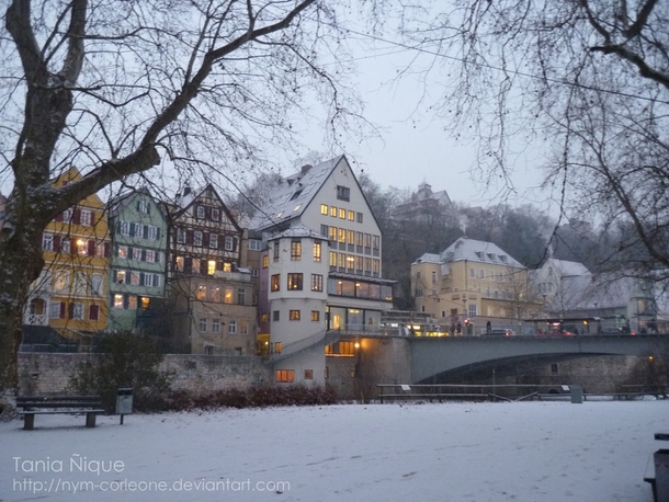 Winter in Tbingen  by Tania Nique