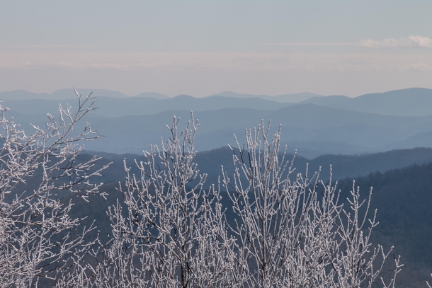 Winter in the Blue Ridge Mountains 
