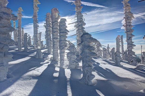 Winter in the higher mountain regions in the Bavarian Forest National Park