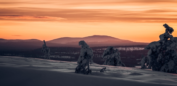 Winter is coming Lapland Finland 