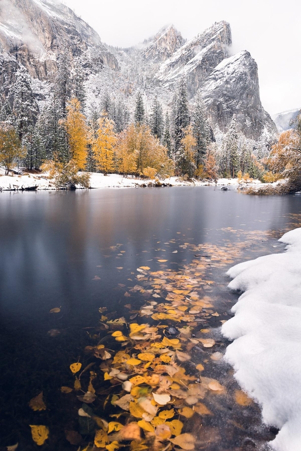 Winter meets Fall at Yosemite 