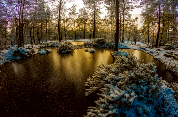 Winter morning at Koli Finland 