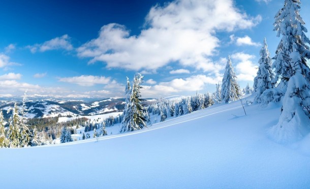 Winter on a mountain slope 