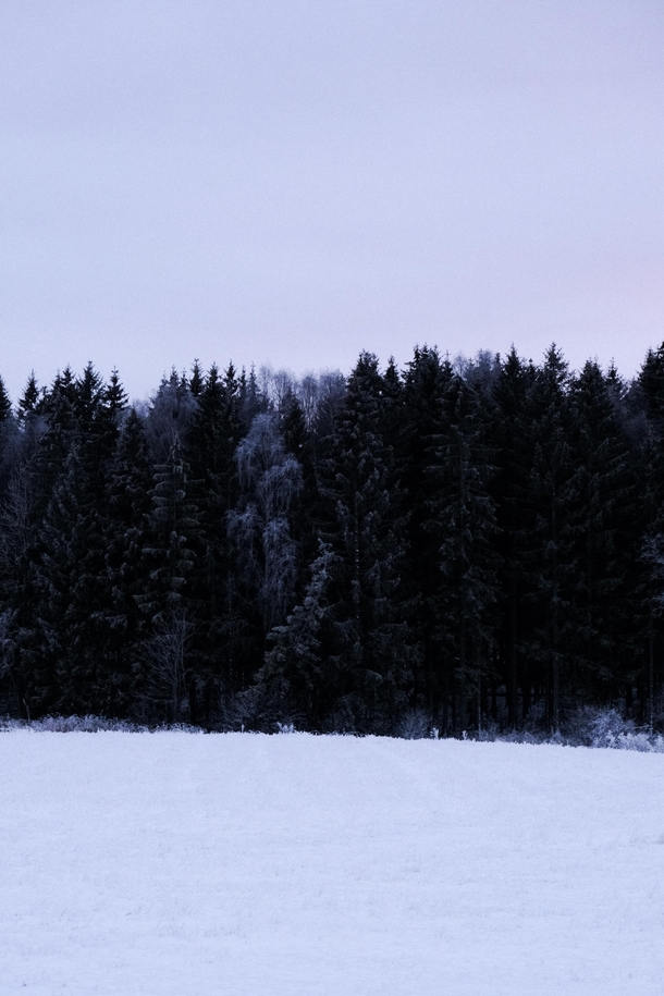 Winter outside Oslo Norway 