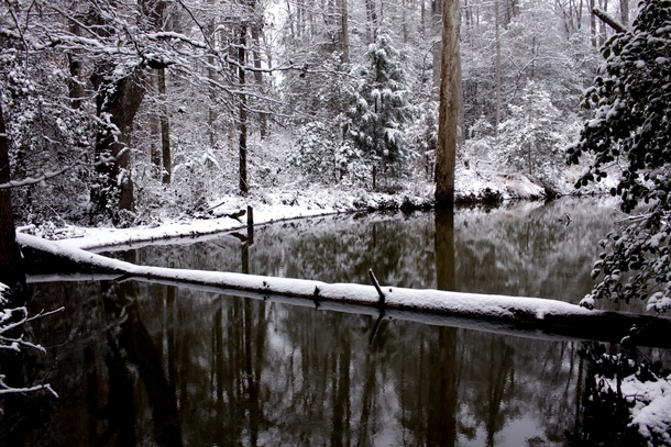 Winter pond shot in South Carolina   x 