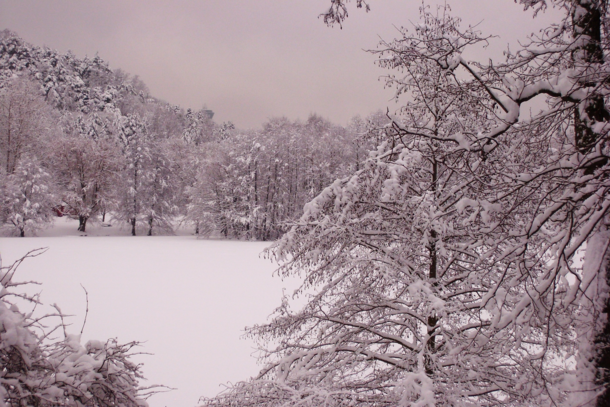 Winter scene  Finland