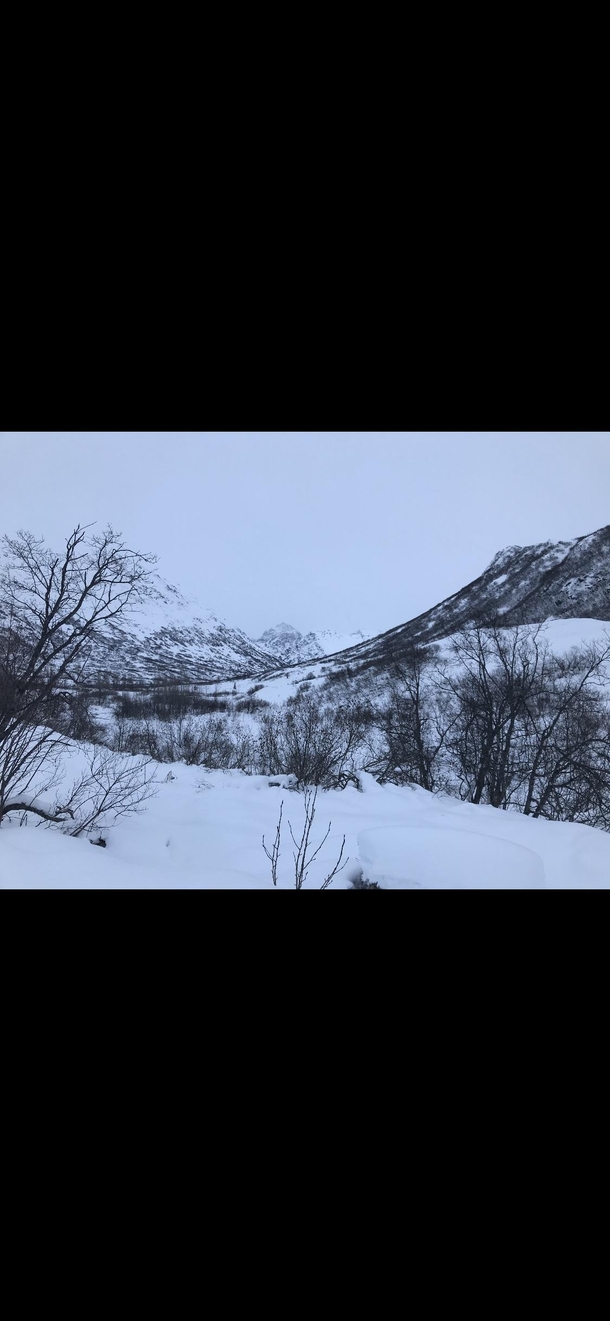 Winter wonderland in Hatcherpass Alaska