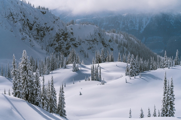 Winter wonderland in the British Columbian Mountains 