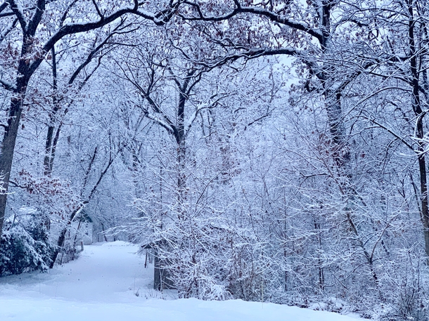 Winter wonderland in Wisconsin this morning