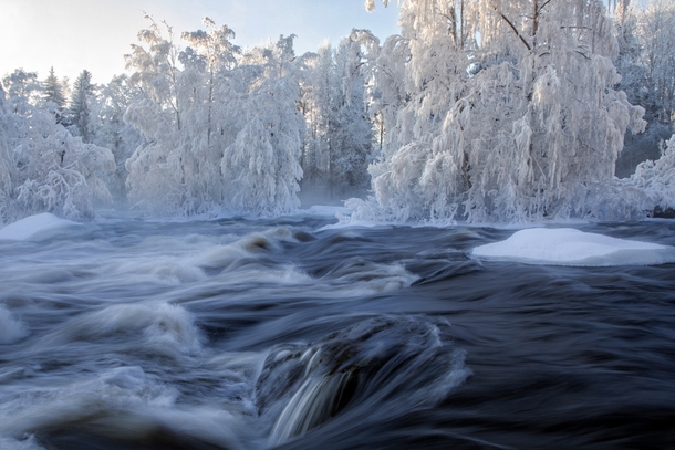 Winter Wonderland Kuusaankoski Laukaa Finland 