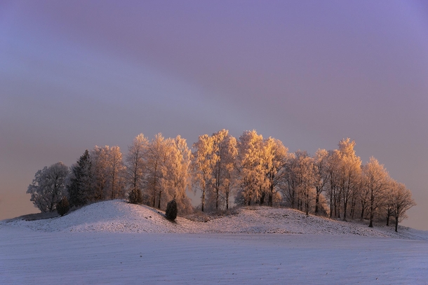 Winter wonderland sunrise Sweden 