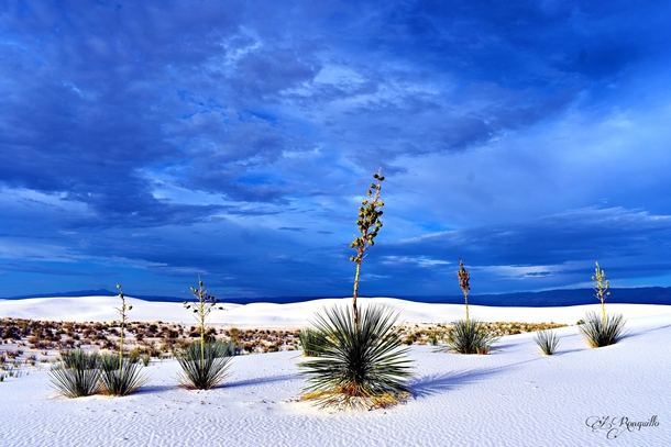 Wonderful White Sands New Mexico 