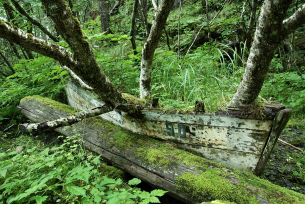 Wooden boat on uninhabited Kayak Island in the Gulf of Alaska
