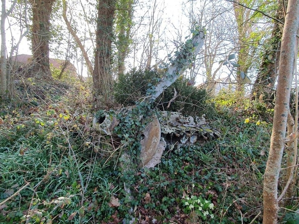 WW spitfire - ditched in East Sussex - rediscovered a couple of week ago when undergrowth was being cleared