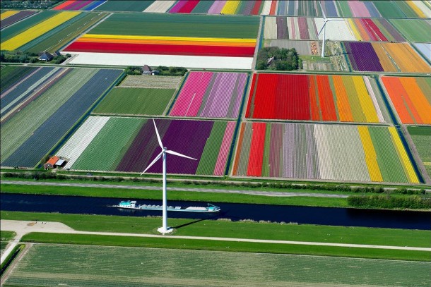 x-post from rpics- Tulip farm in Netherlands 