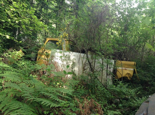 Yellow truck left to the weeds 