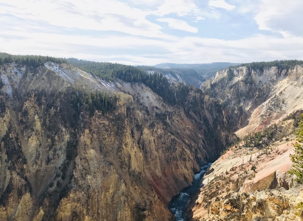 Yellowstone Grand Canyon x OC