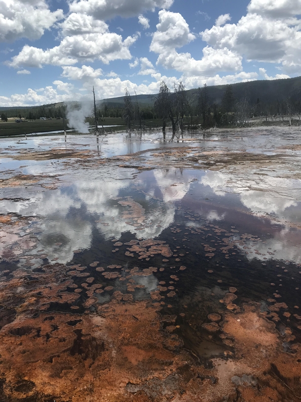 Yellowstone National Park in July  