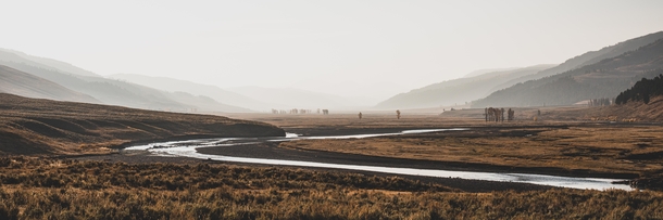 Yellowstone National Parks Lamar Valley - Wyoming USA 