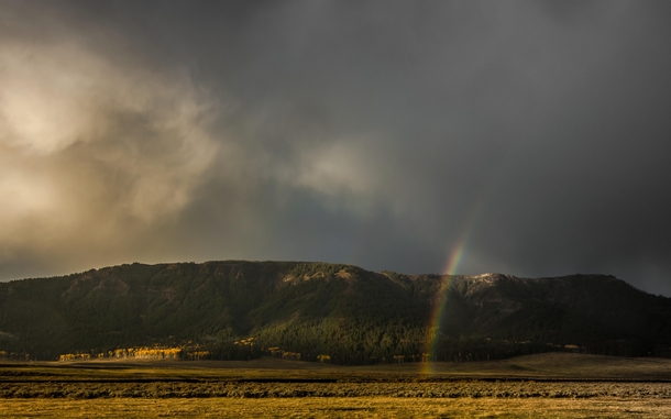 Yellowstones Lamar Valley on a stormy morning - 