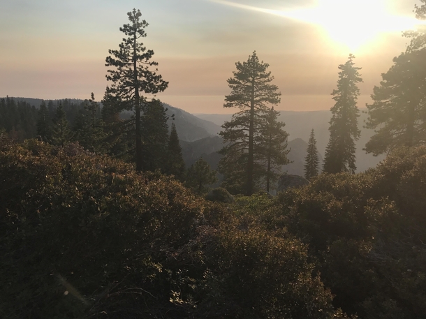 Yosemite almost sunset 