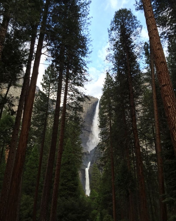 Yosemite falls California 