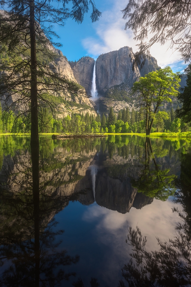 Yosemite Falls Reflected on a Flooded Meadow Yosemite National Park CA  JeremyVeselyPhotography