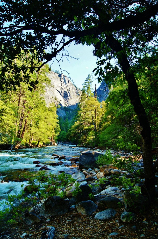 Yosemite National Park CA USA 