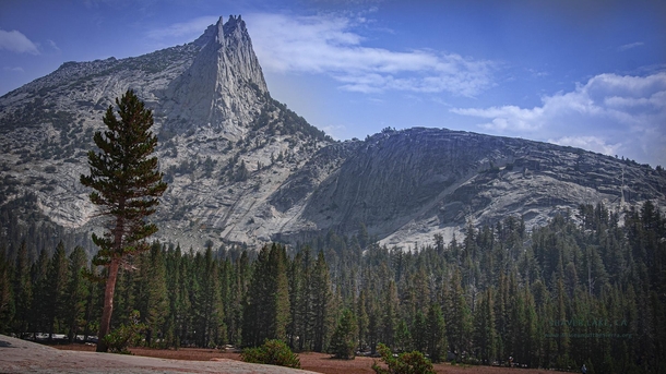 Yosemite National Park  x  OC