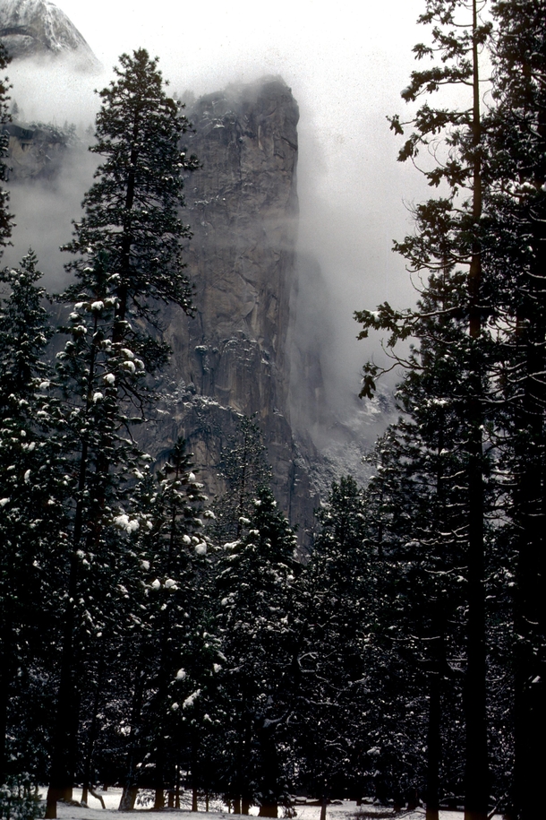 Yosemite snowstorm  scanned