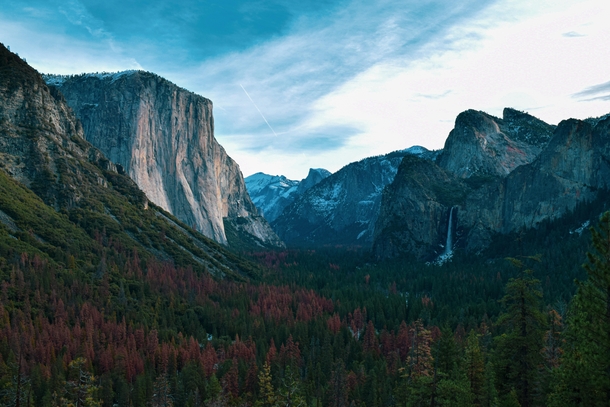 Yosemite Valley Yosemite NP California 