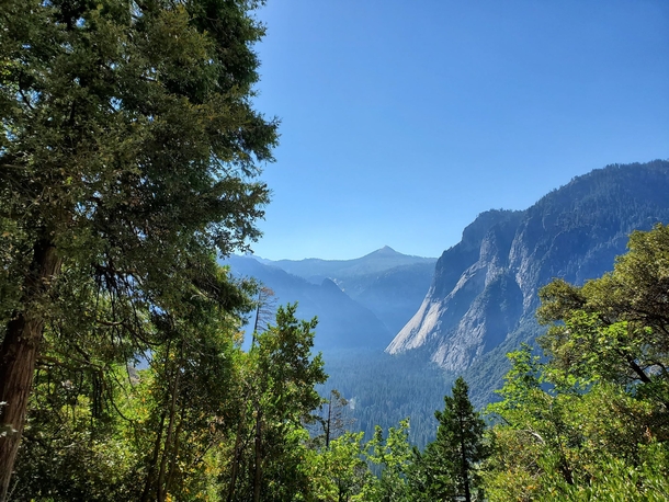 Yosemite vista OC Aug   x 