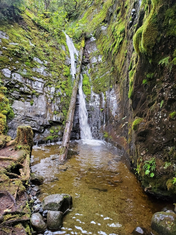 You can find hidden waterfalls like this all over Southeast Alaska This one is in Juneau